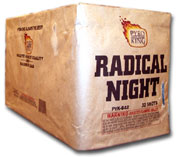 Radical Night